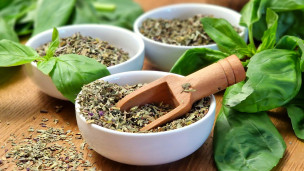 Basil